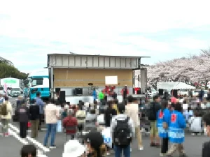 第14回かしまふれ愛さくら祭りの様子（2026年）